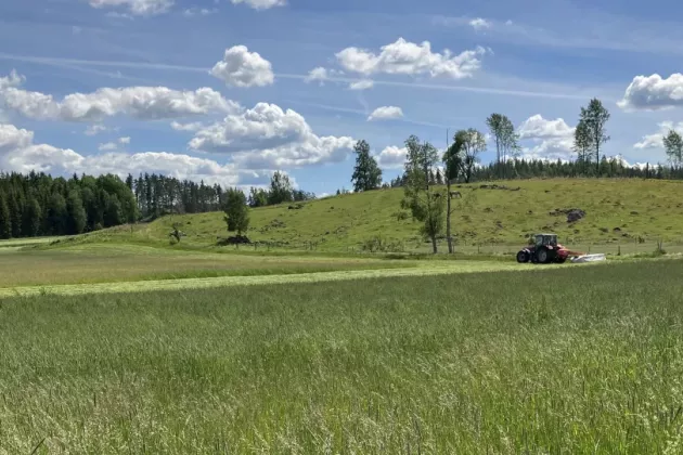 Traktor kör på ett fält. Foto.