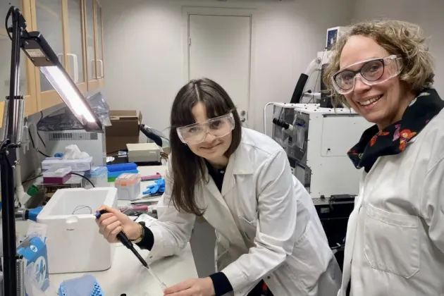 Två forskare i laboratorium. Foto.